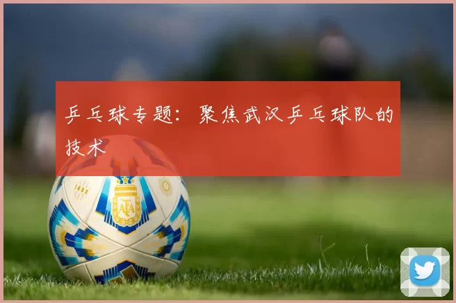 乒乓球专题：聚焦武汉乒乓球队的技术