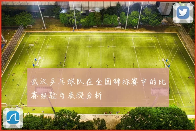 武汉乒乓球队在全国锦标赛中的比赛经验与表现分析