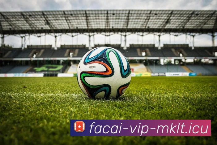 乐鱼体育APP 封面图